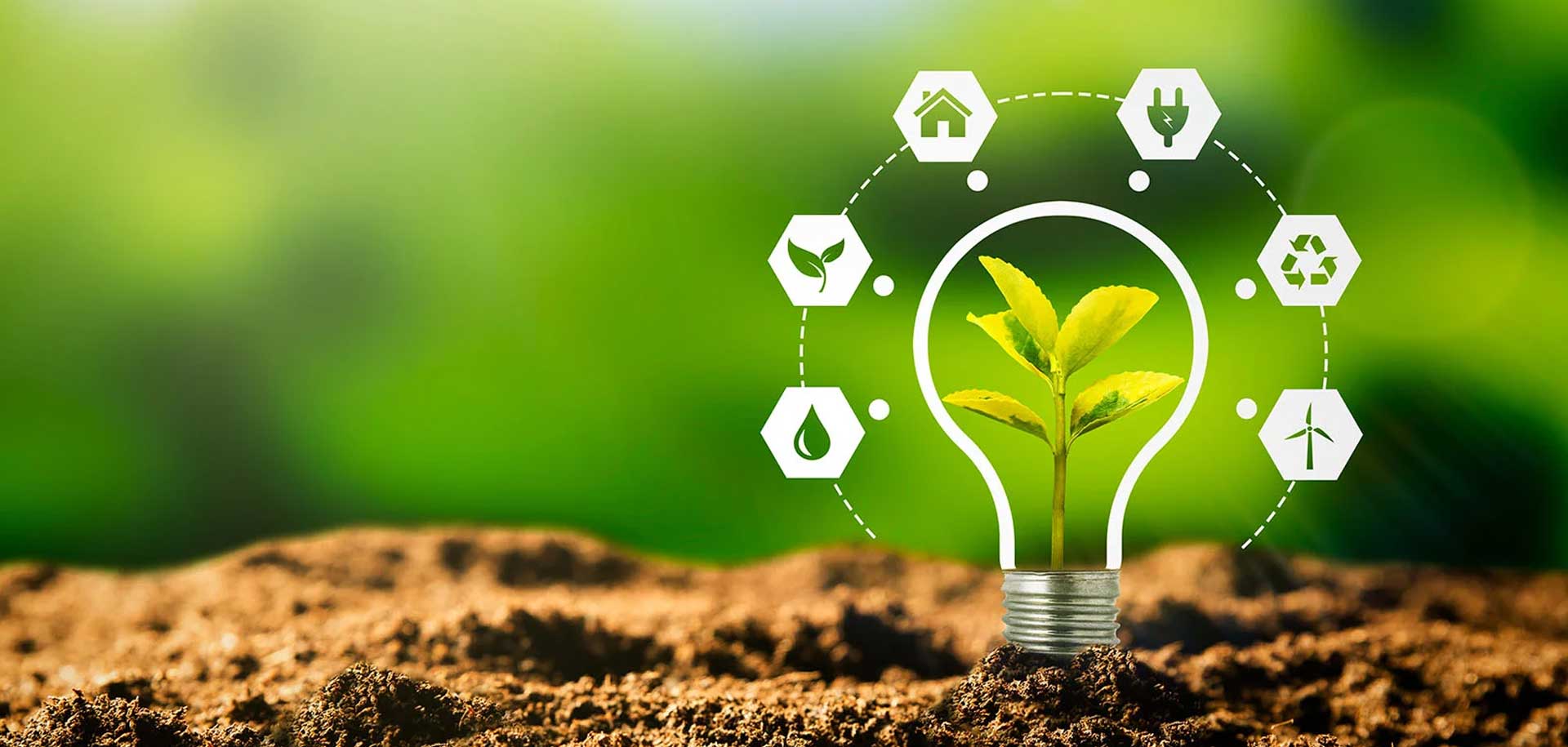 Driving Sustainability Forward: EPD Certification Consultancy in Vietnam